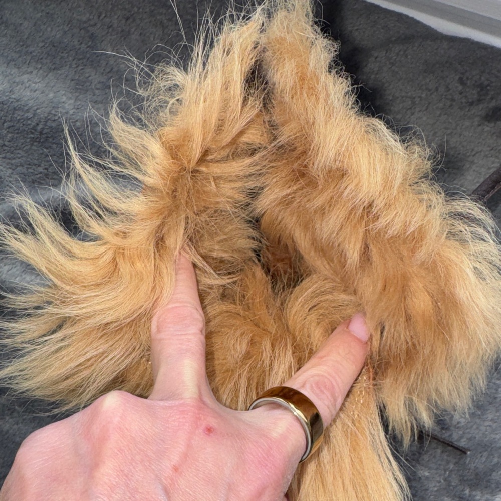 Giuseppe Zanotti Black and Brown Heeled Boots - Picture 6 of 7